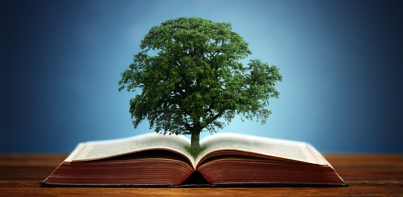 book-and-tree